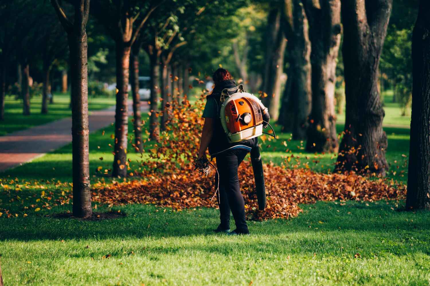 Reliable Cross Plains, TX Tree Service Solutions